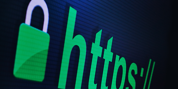 Embracing the Shield: Why Your SSL Certificate Is Your Website's Security Superhero